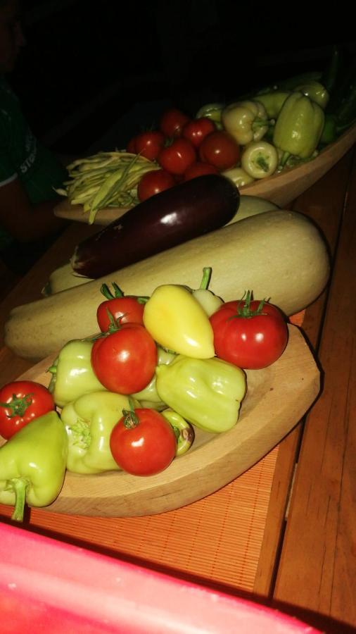 Eco Village Jasavic プラヴ エクステリア 写真